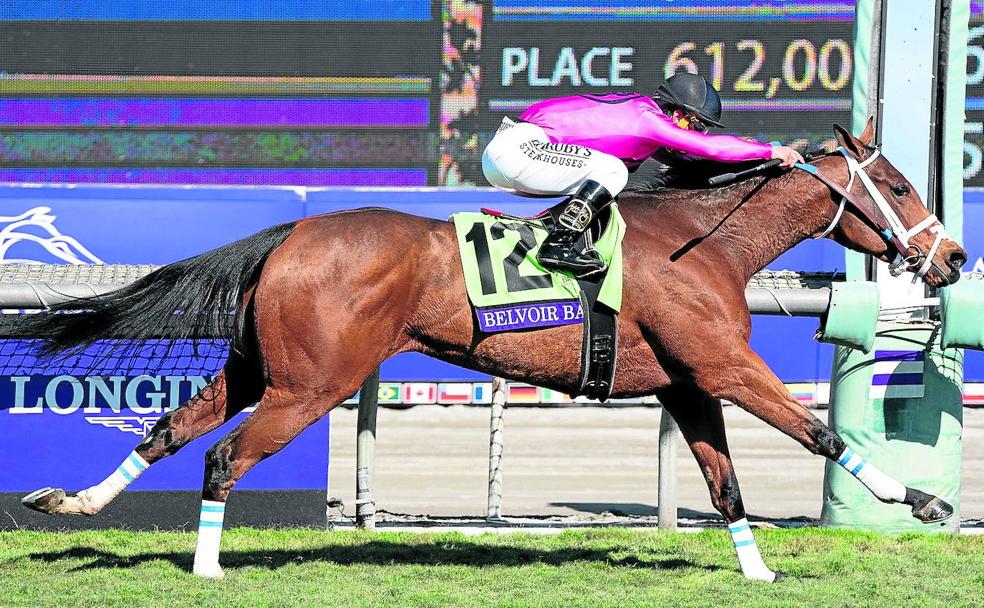 'Belvoir Bay' se apunta la victoria en la Breeders' Cup Turf Sprint, torneo celebrado en Santa Anita, California.