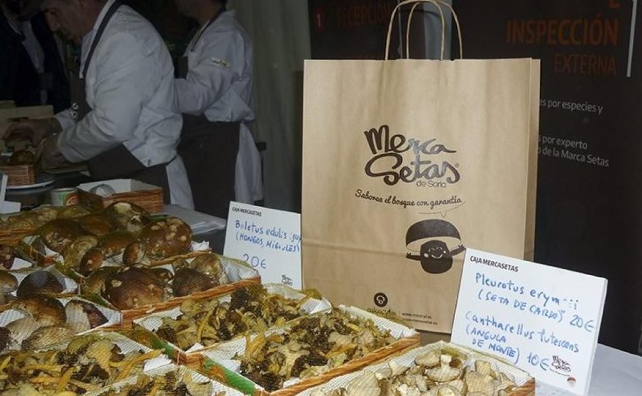 Soria acogerá una nueva edición de Mercasetas del 8 al 10 de noviembre