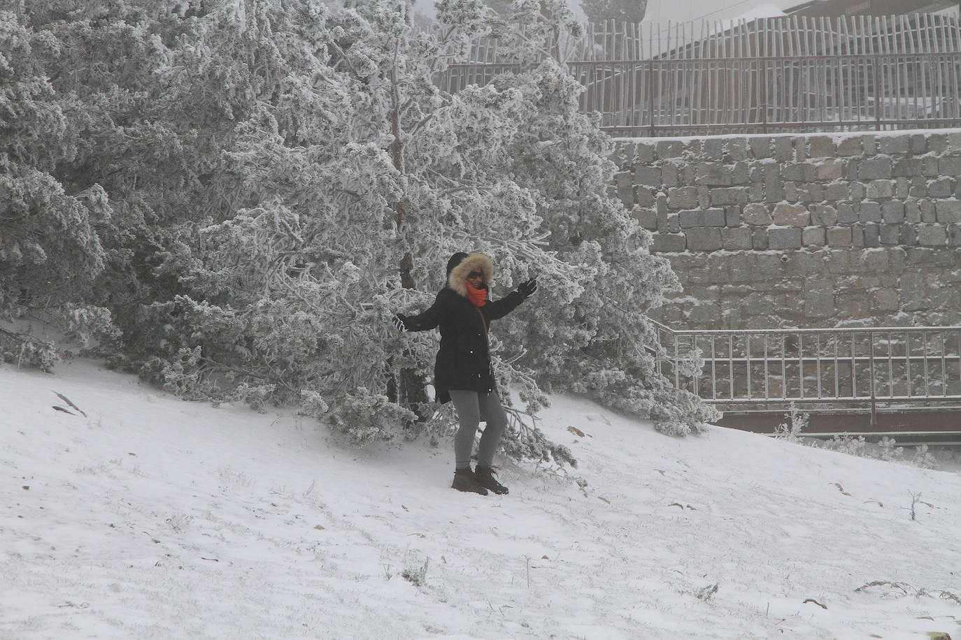 Niebla y nieve en el puerto de Navacerrada.