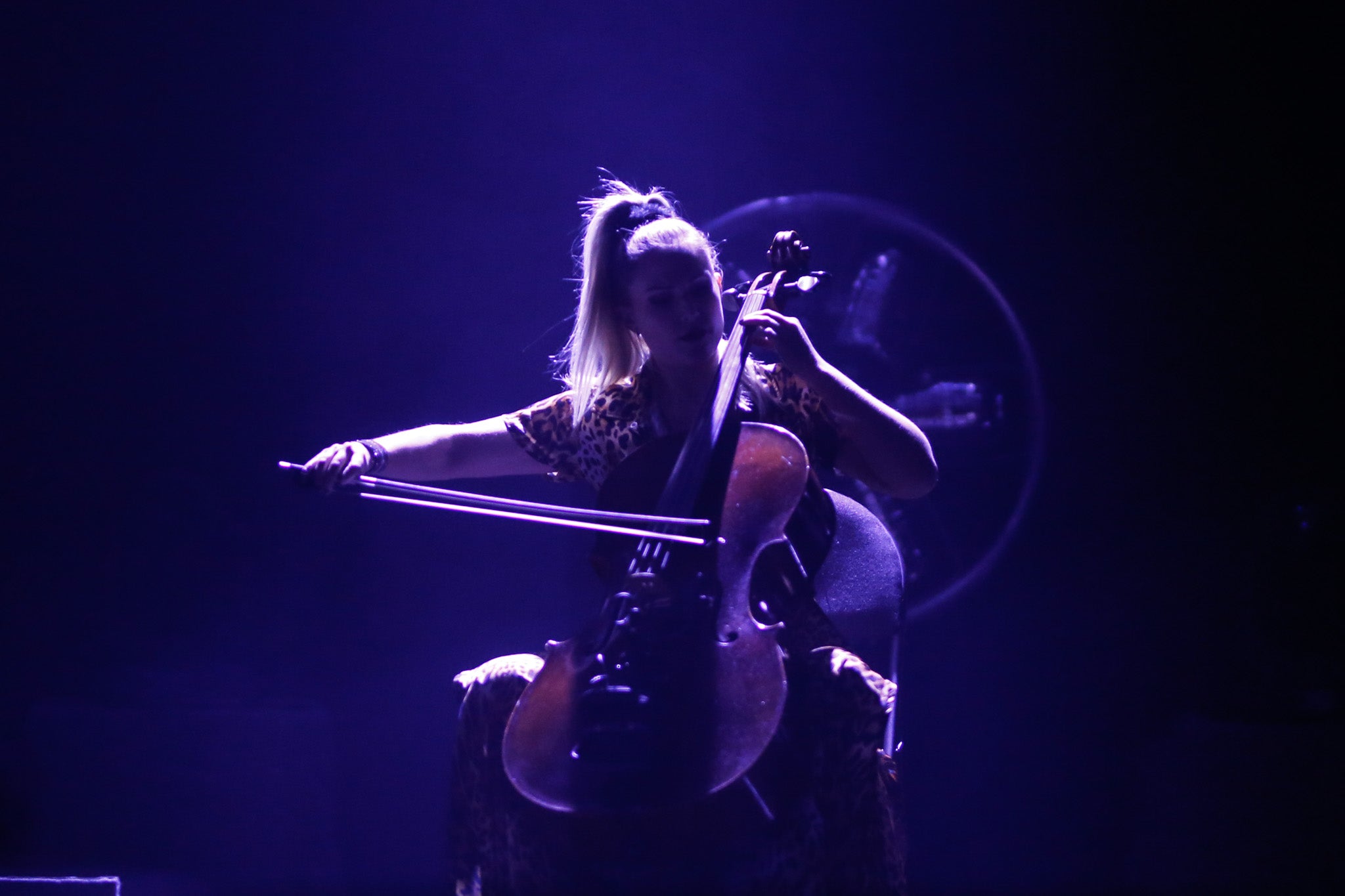 Ara Malikian en Salamanca. 