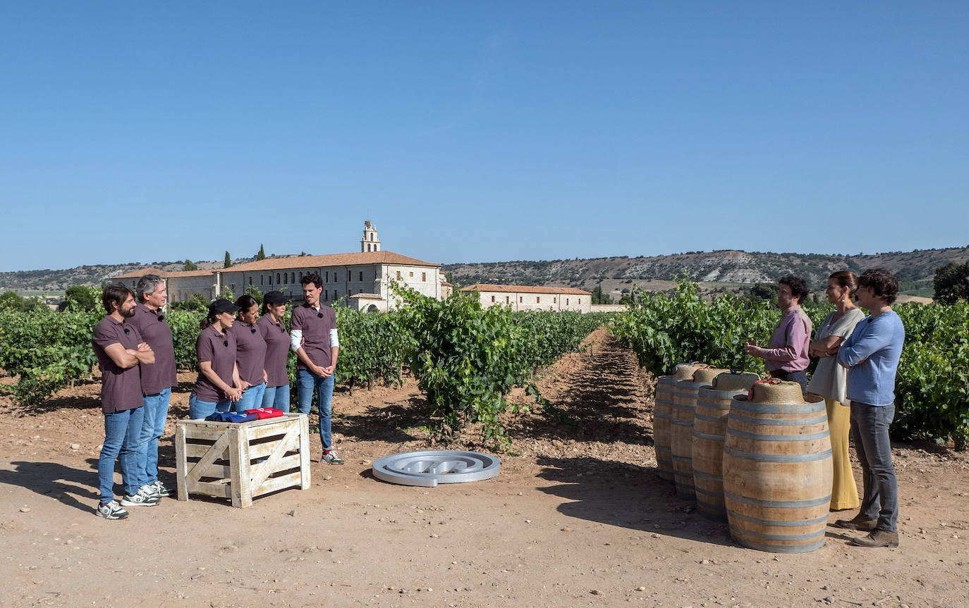 Tierra de Sabor protagoniza de nuevo MasterChef Celebrity el próximo miércoles 13 de noviembre.
