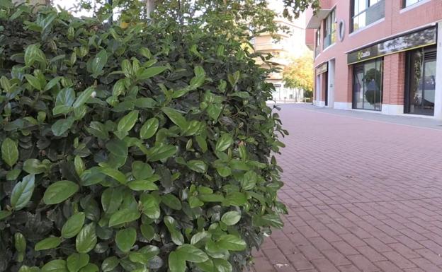 Adivina de qué calle de Valladolid se trata