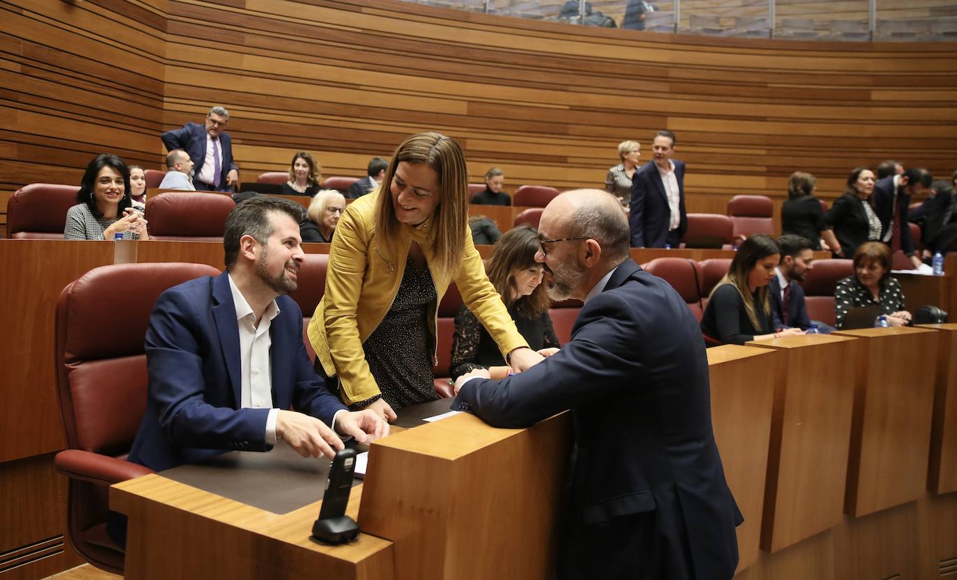 Pleno de las Cortes de Castilla y León. 