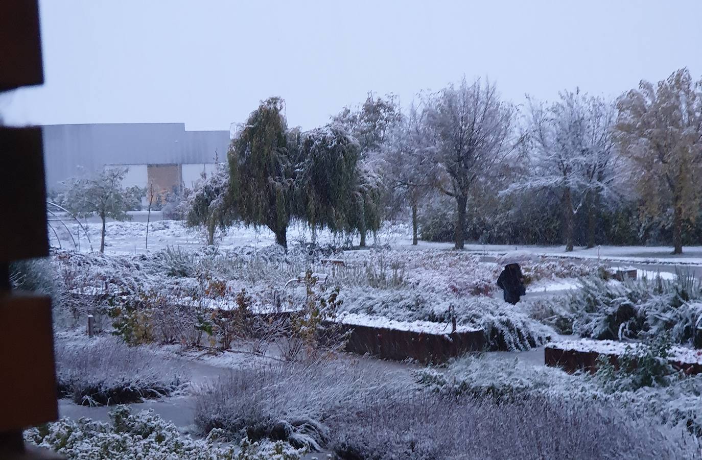 Nieve en la Montaña Palentina.