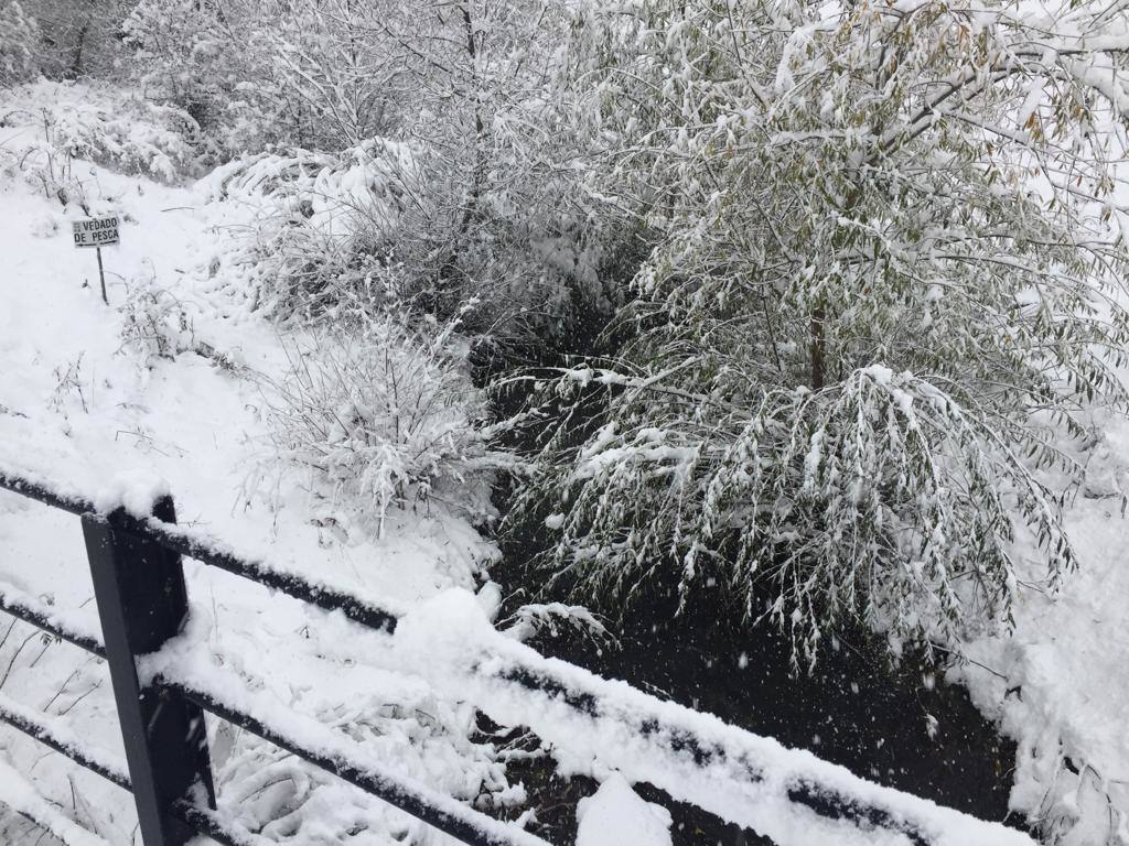 Nieve en la Montaña Palentina.