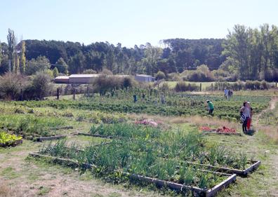 Imagen secundaria 1 - La agrosilvicultura como remedio contra la despoblación