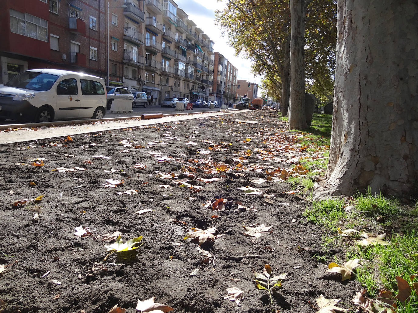 Reforma de la calle Arca Real y del Parque de la Paz. 