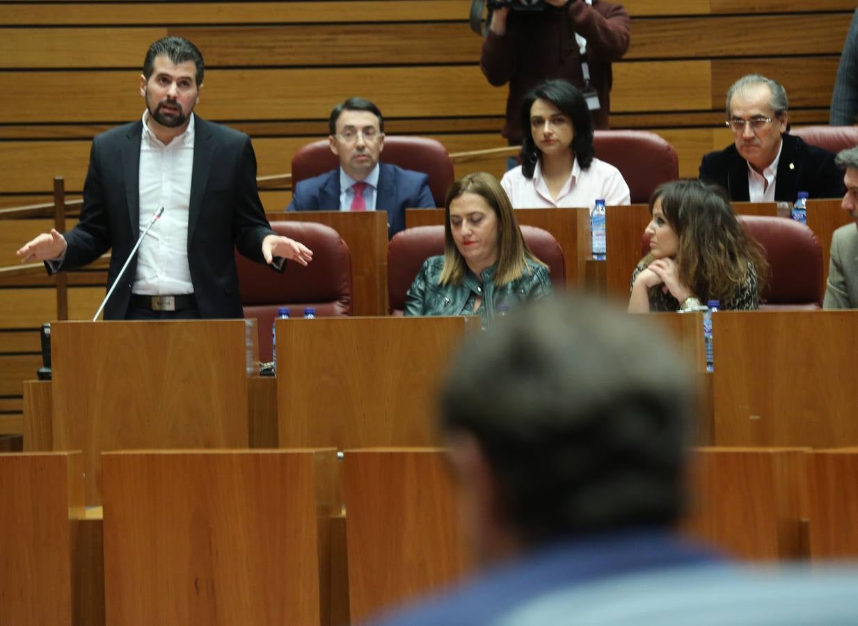 La Junta de Castilla y León prepara una batería de medidas para ponerlas en marcha contra la «soledad mal gestionada», según avanzó hoy la consejera de Familia e Igualdad de Oportunidades, Isabel Blanco