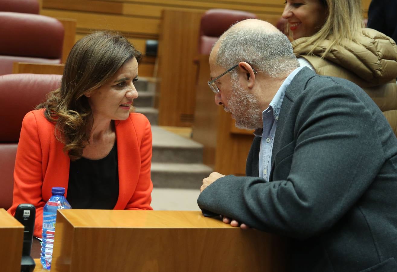 La Junta de Castilla y León prepara una batería de medidas para ponerlas en marcha contra la «soledad mal gestionada», según avanzó hoy la consejera de Familia e Igualdad de Oportunidades, Isabel Blanco