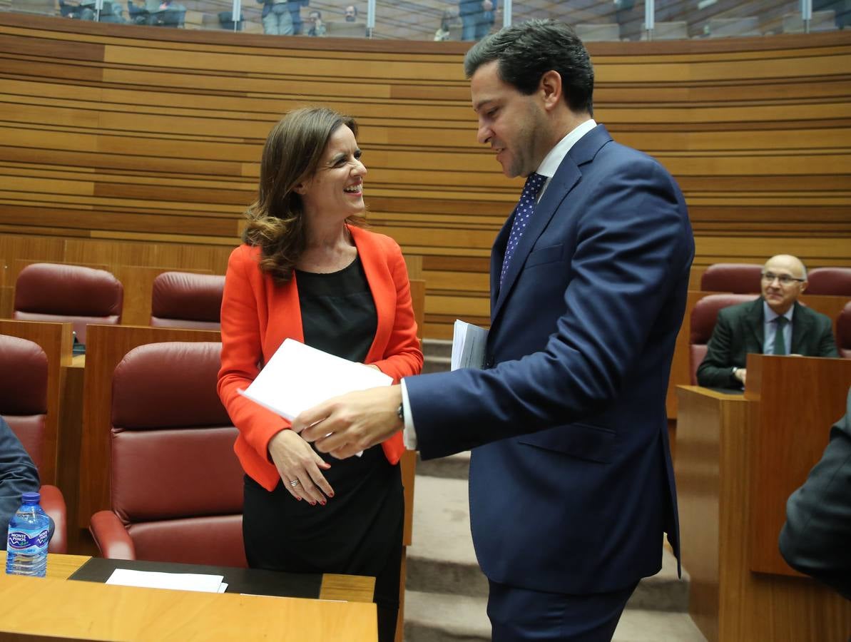 La Junta de Castilla y León prepara una batería de medidas para ponerlas en marcha contra la «soledad mal gestionada», según avanzó hoy la consejera de Familia e Igualdad de Oportunidades, Isabel Blanco