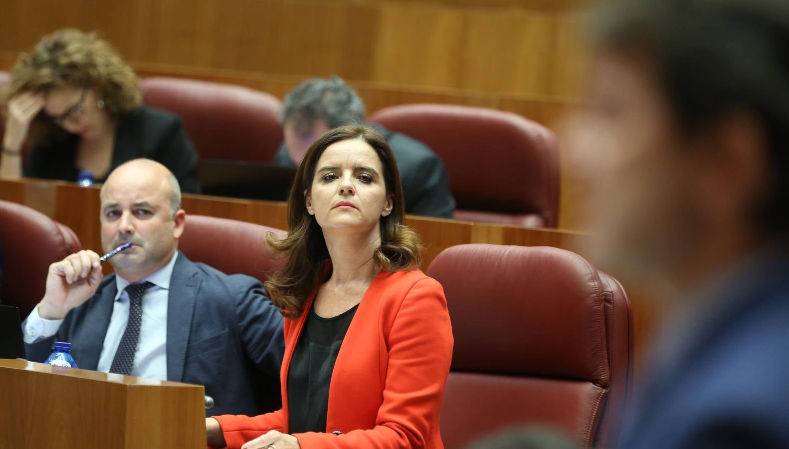 La Junta de Castilla y León prepara una batería de medidas para ponerlas en marcha contra la «soledad mal gestionada», según avanzó hoy la consejera de Familia e Igualdad de Oportunidades, Isabel Blanco