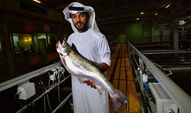 El director ejecutivo, Bader bin Mubarak, posa con un salmón.