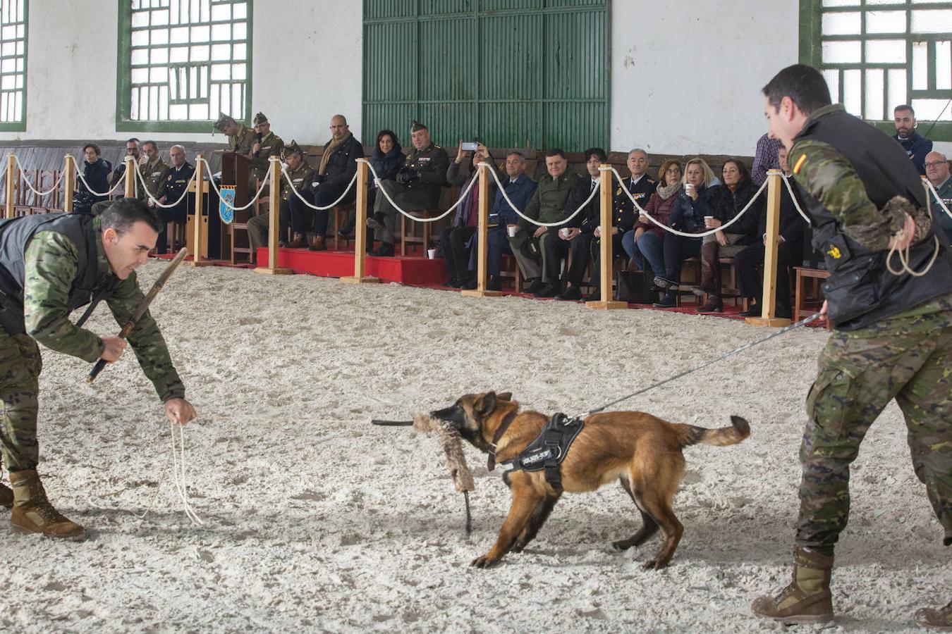 La diputada y ministra de Defensa en funciones, Margarita Robles, visita el Centro de Cría Caballar en Ávila.