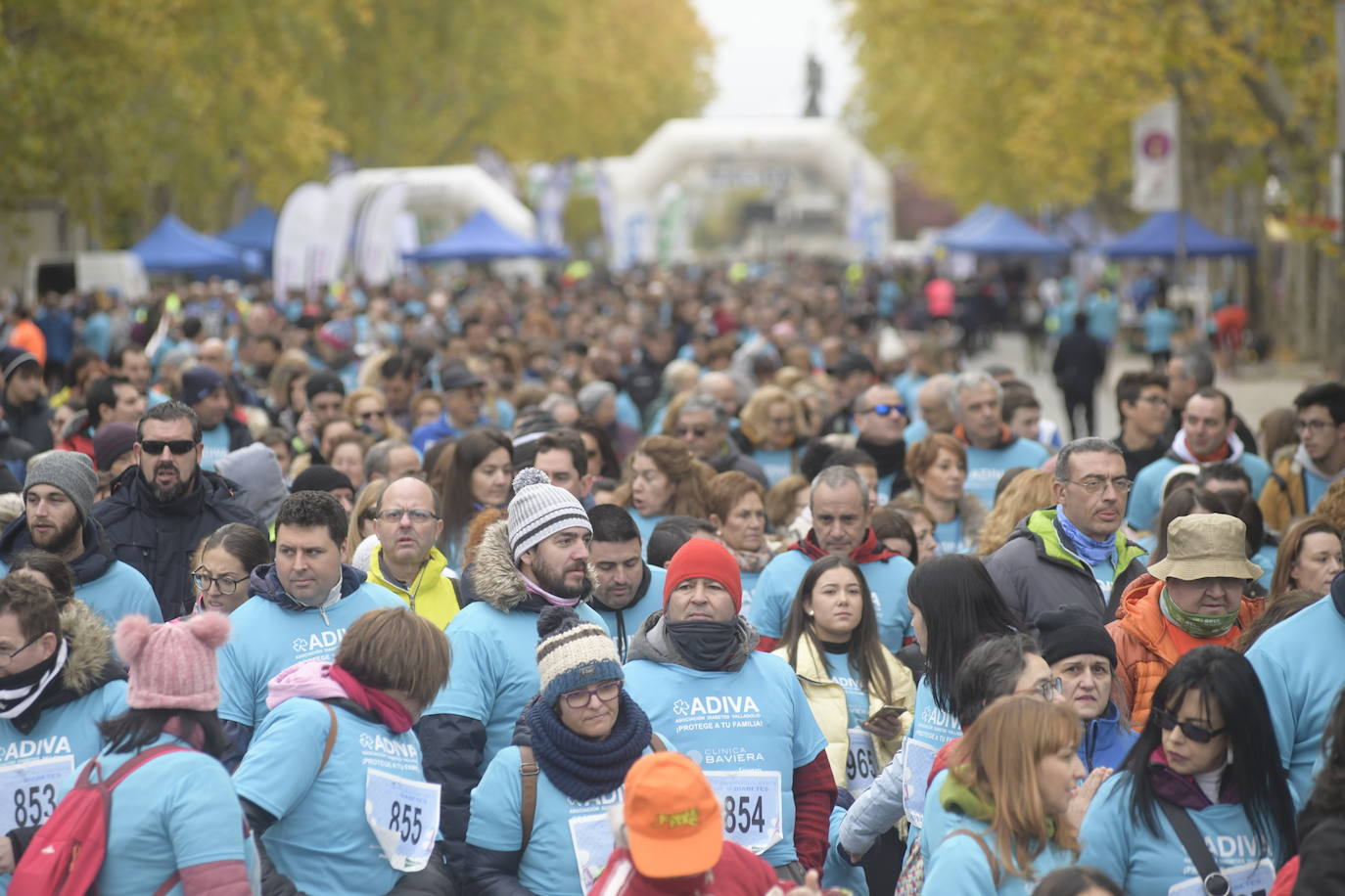 V Marcha por la Diabetes. 