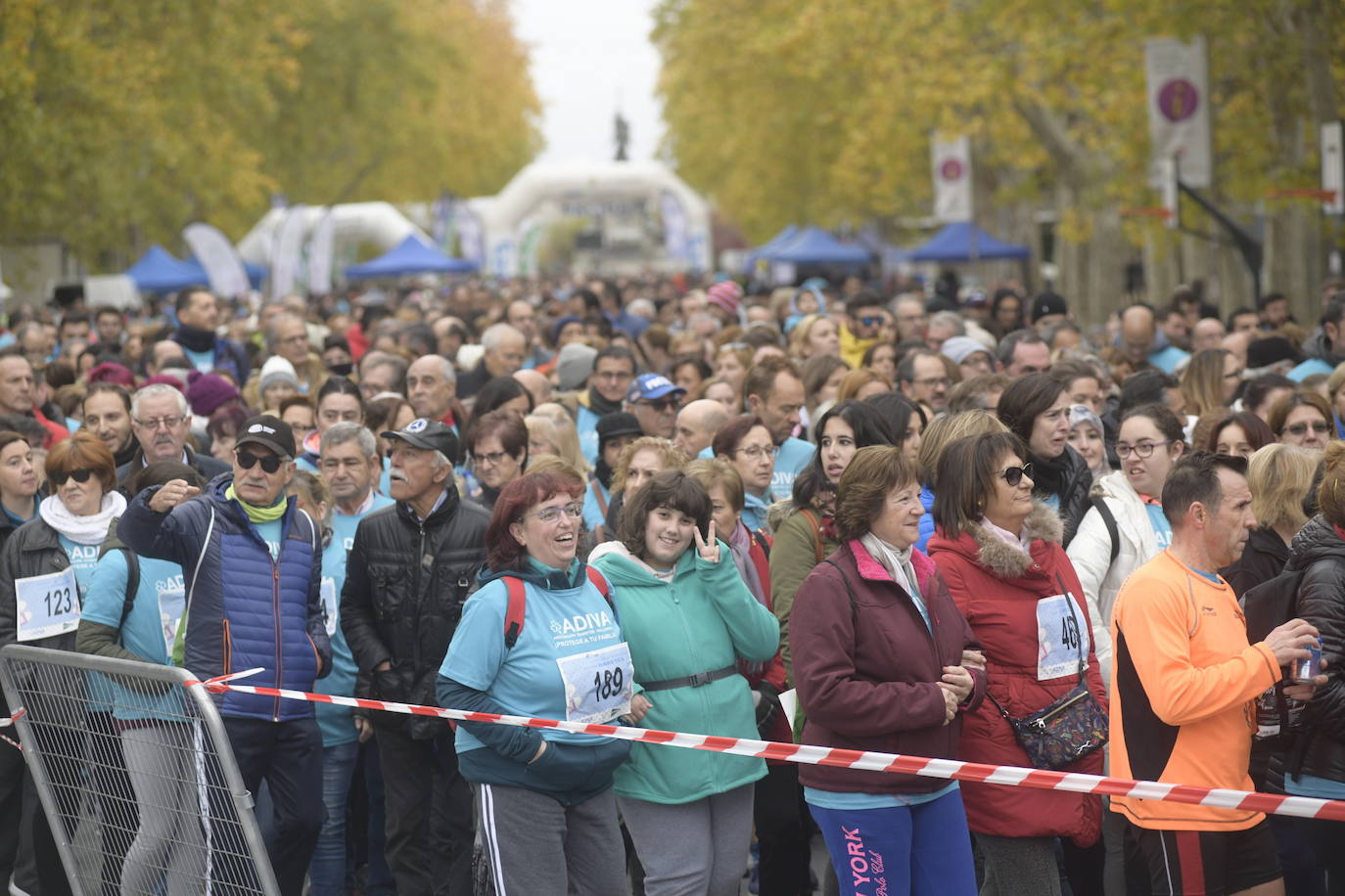 V Marcha por la Diabetes. 