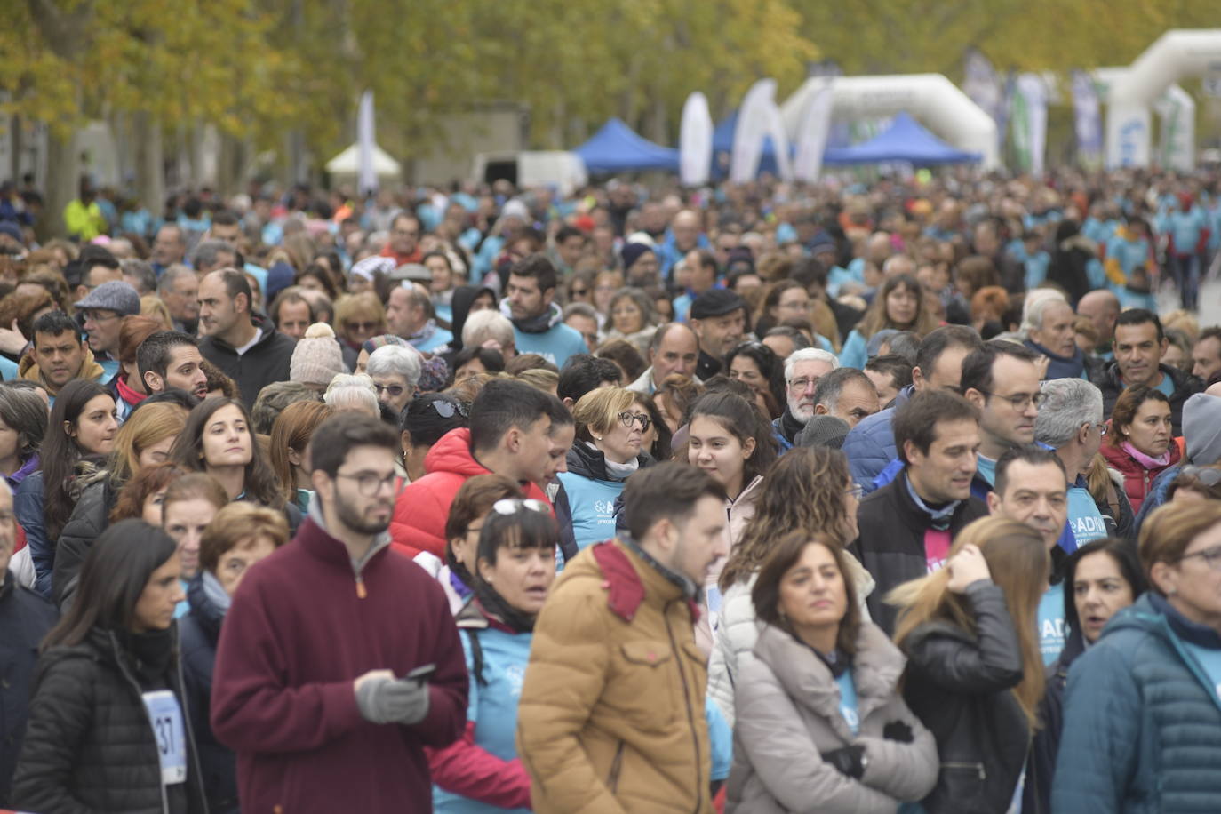 V Marcha por la Diabetes. 