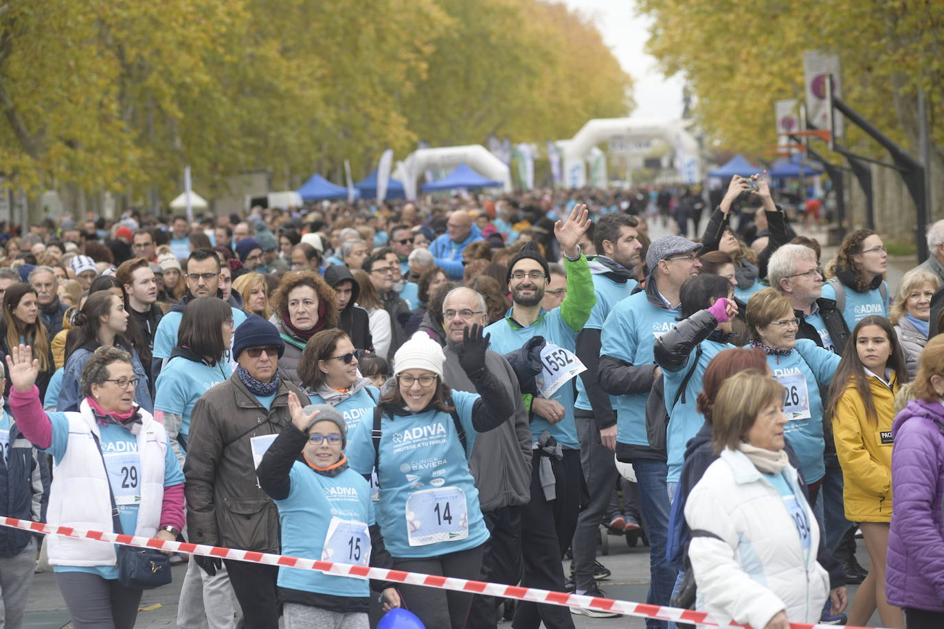 V Marcha por la Diabetes. 
