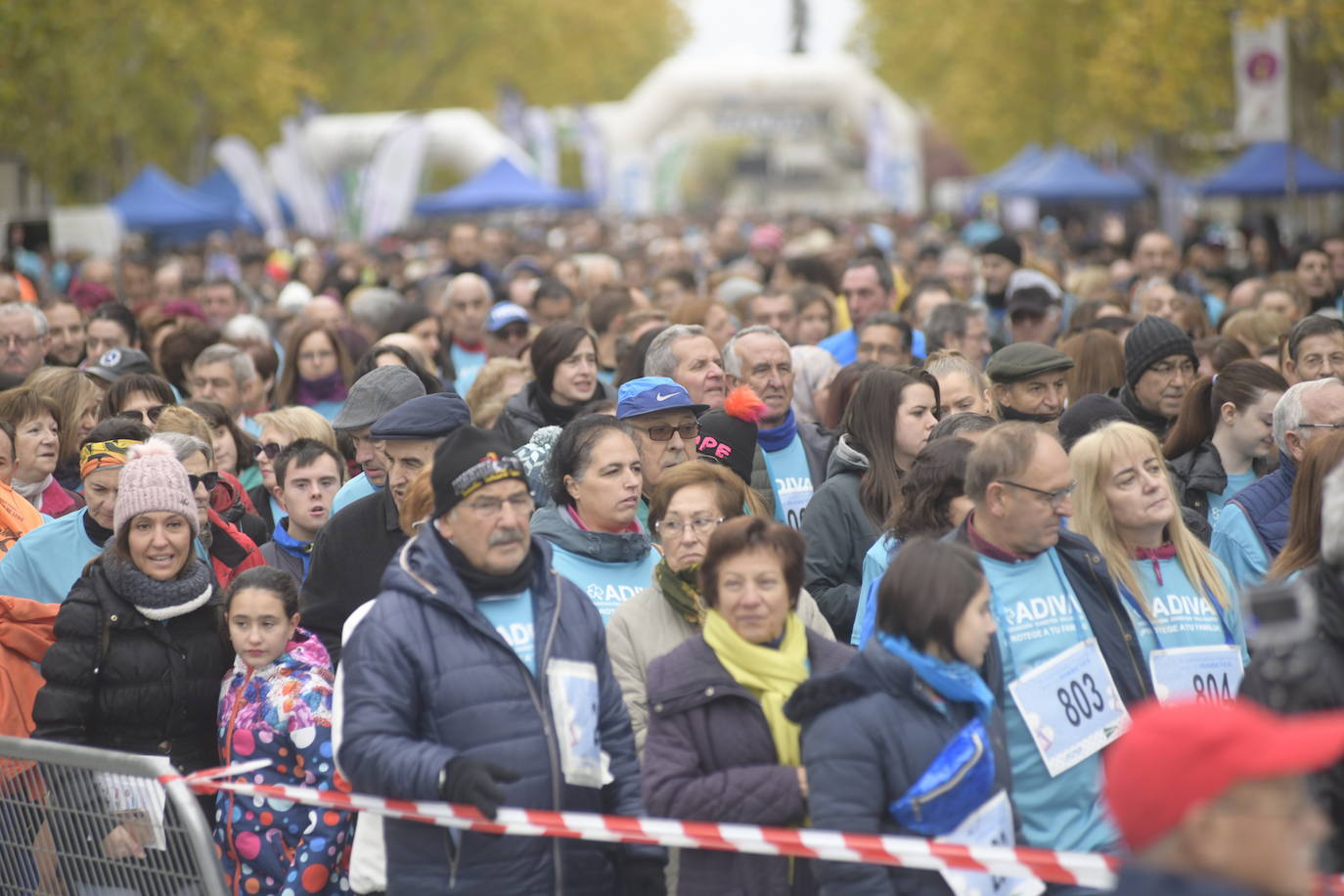 V Marcha por la Diabetes. 