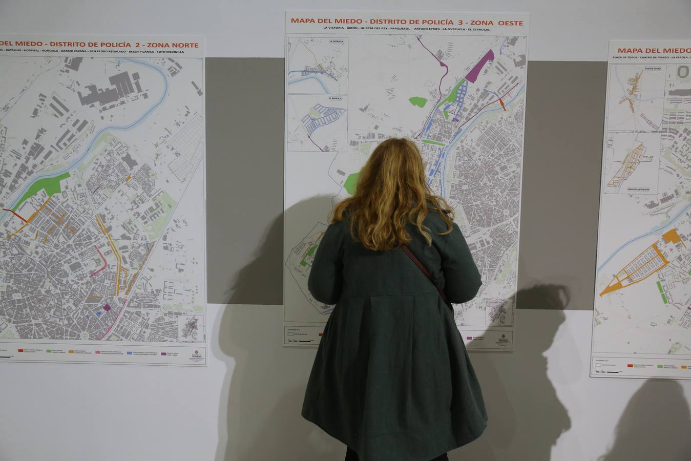 Un conjunto de mapas de los diferentes distritos de la ciudad en los que aparecen marcados los lugares que demandan acciones con las que ahuyentar riesgos para la ciudadanía