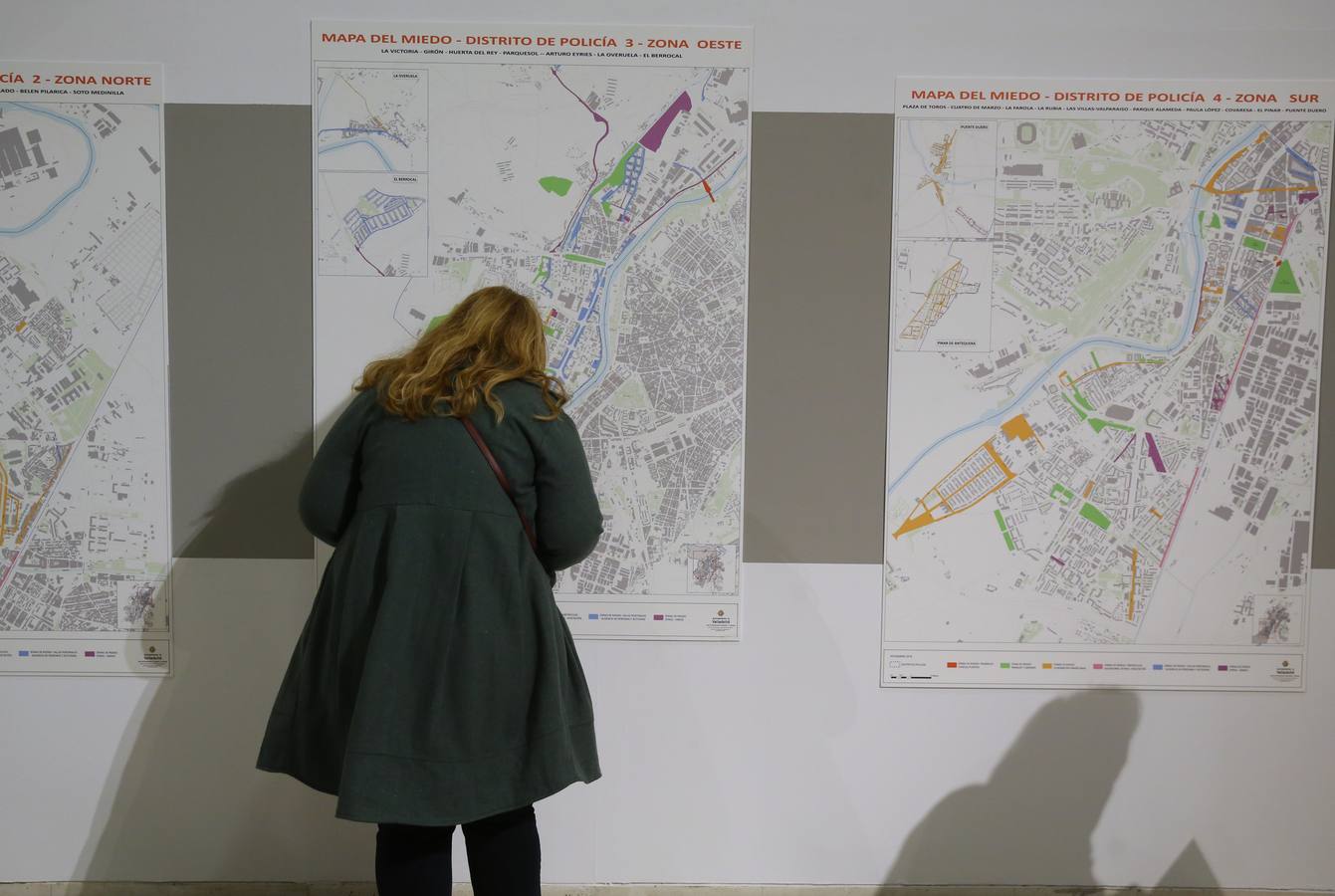 Un conjunto de mapas de los diferentes distritos de la ciudad en los que aparecen marcados los lugares que demandan acciones con las que ahuyentar riesgos para la ciudadanía