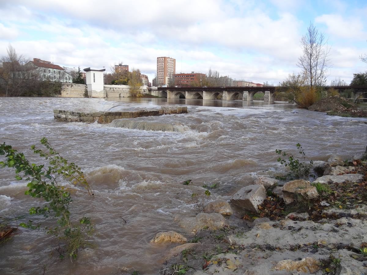 A última hora del lunes, el río llegó a arrastrar 272 metros cúbicos y anegó los paseos inferiores bajo el puente de Poniente