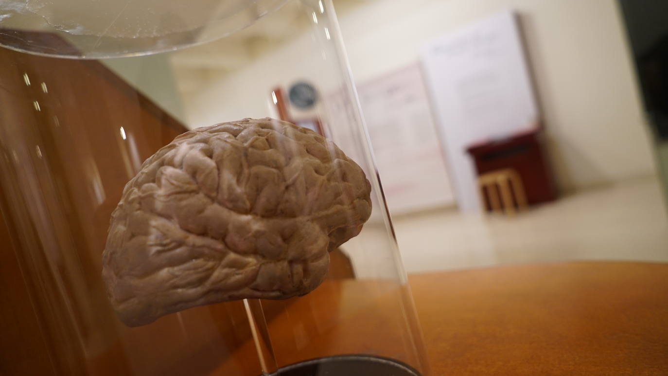 El Museo de la Ciencia examina los procesos del recuerdo desde los puntos de vista personal, cultural, psicológico y biológico con experimentos, proyecciones y paneles informativos en la muestra 'Memoria', desarrollada por el Museo de las Ciencias Príncipe Felipe de Valencia en colaboración con el Exploratorium de San Francisco. 