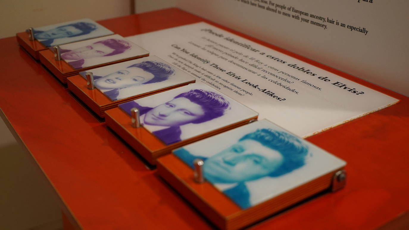 El Museo de la Ciencia examina los procesos del recuerdo desde los puntos de vista personal, cultural, psicológico y biológico con experimentos, proyecciones y paneles informativos en la muestra 'Memoria', desarrollada por el Museo de las Ciencias Príncipe Felipe de Valencia en colaboración con el Exploratorium de San Francisco. 