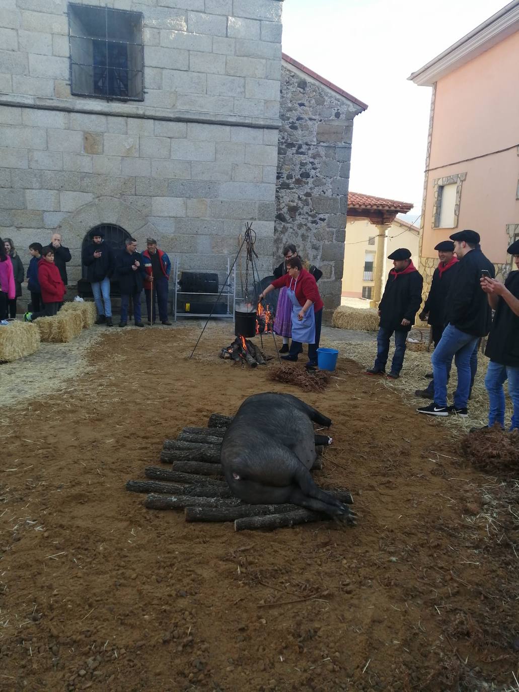 El municipio de El Cabaco se sumó ayer al circuito de la Fiesta de la Matanza Tradicional promovido por la Diputación y lo hizo con gran éxito de público desde primera hora de la mañana. El cerdo, que pesaba 220 kilos, fue despiezado y sus piezas subastadas, obteniéndose unos 500 euros. Los asistentes pudieron degustar un pincho a base de chichas y huevo frito. La comida consistió en patatas meneás y carne asada, amenizada por el tamborilero local Agustín García.