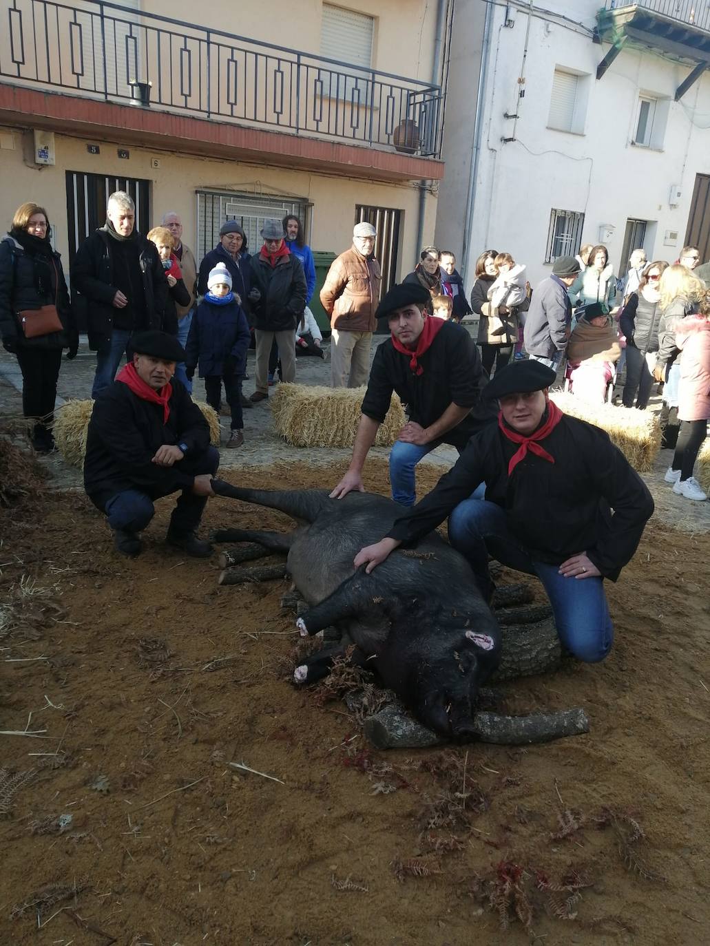 El municipio de El Cabaco se sumó ayer al circuito de la Fiesta de la Matanza Tradicional promovido por la Diputación y lo hizo con gran éxito de público desde primera hora de la mañana. El cerdo, que pesaba 220 kilos, fue despiezado y sus piezas subastadas, obteniéndose unos 500 euros. Los asistentes pudieron degustar un pincho a base de chichas y huevo frito. La comida consistió en patatas meneás y carne asada, amenizada por el tamborilero local Agustín García.