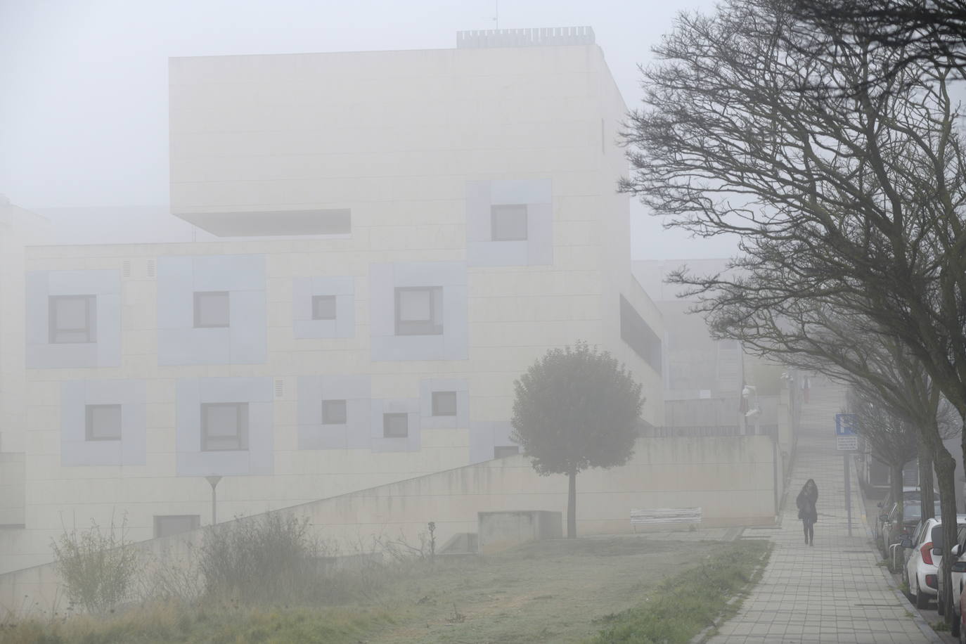 Fotos: Mañana de niebla en Valladolid