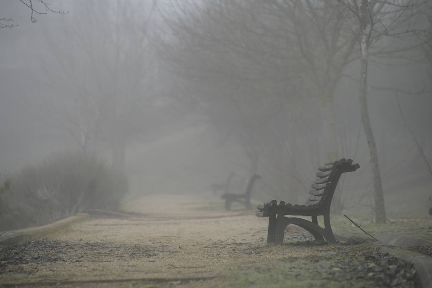 Fotos: Mañana de niebla en Valladolid