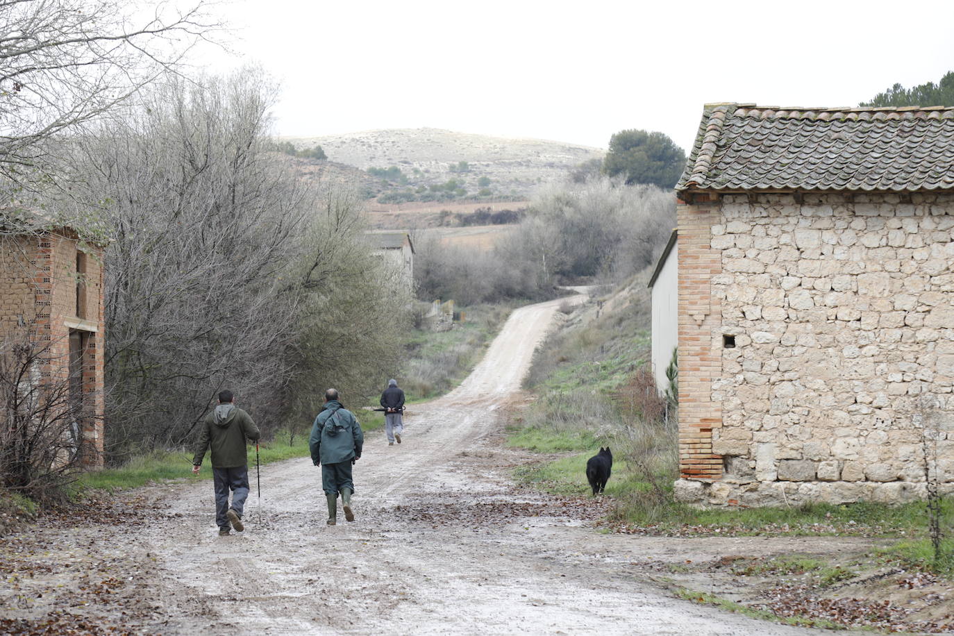 Varias patrullas, una ambulancia de apoyo y decenas de vecinos de Piñel de Abajo en busca del anciano de 82 años con alzhéimer desaparecido ayer martes