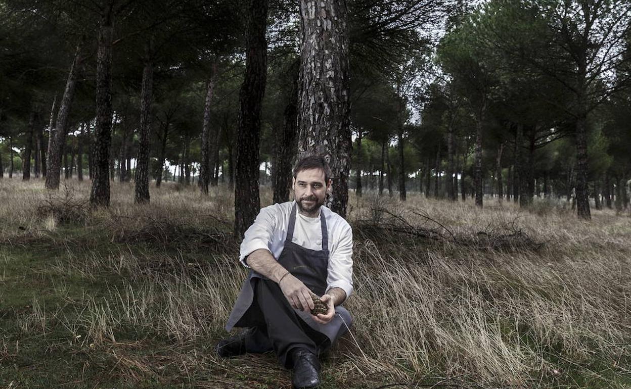El chef Miguel Ángel de la Cruz posa en el pinar de Matapozuelos, una de sus fuentes de inspiración culinaria. 