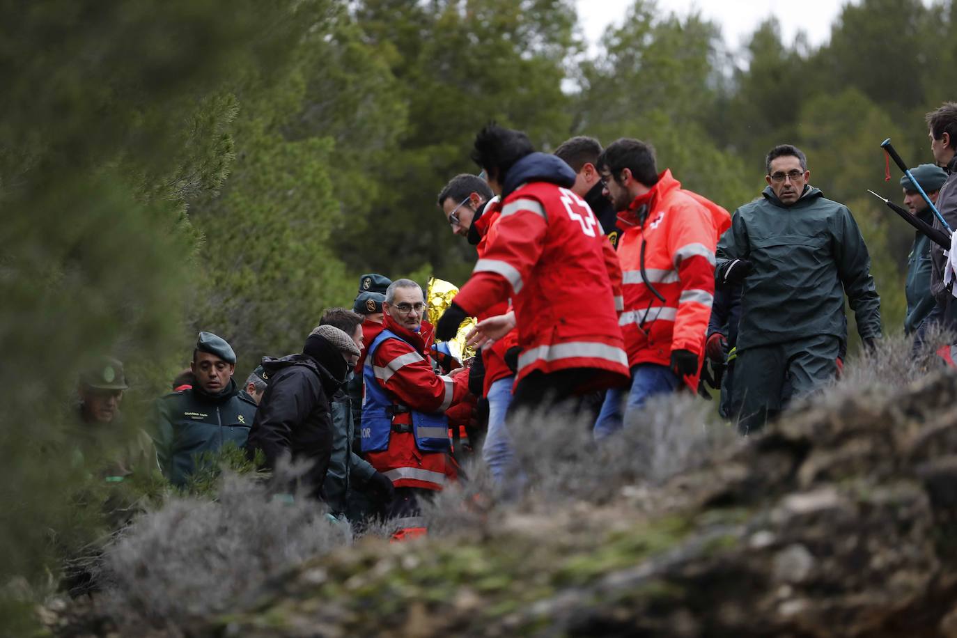 Ha sobrevivido 41 horas a la intemperie en un pinar a 3,8 kilómetros de su casa. 