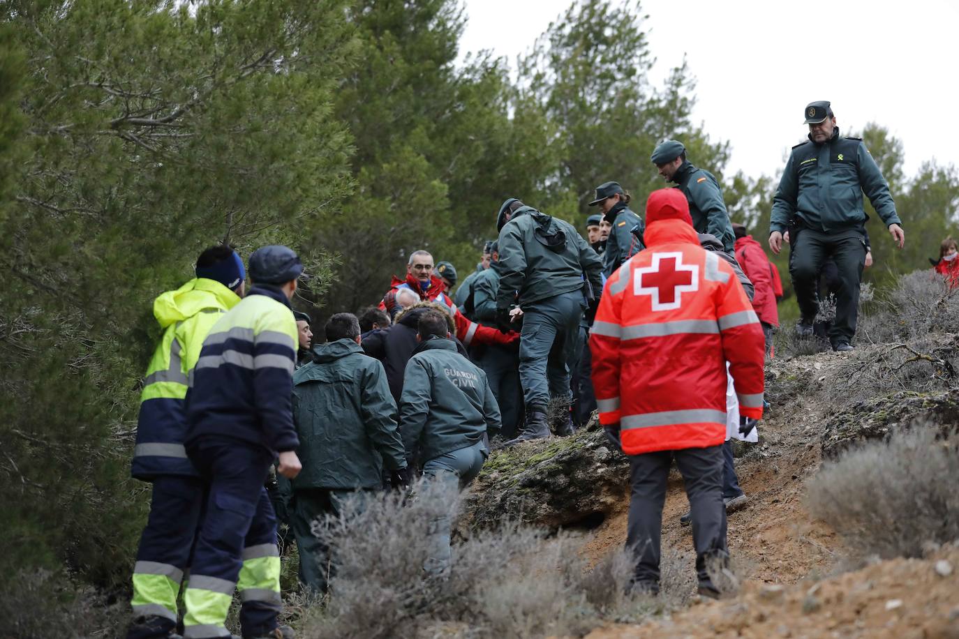 Ha sobrevivido 41 horas a la intemperie en un pinar a 3,8 kilómetros de su casa. 