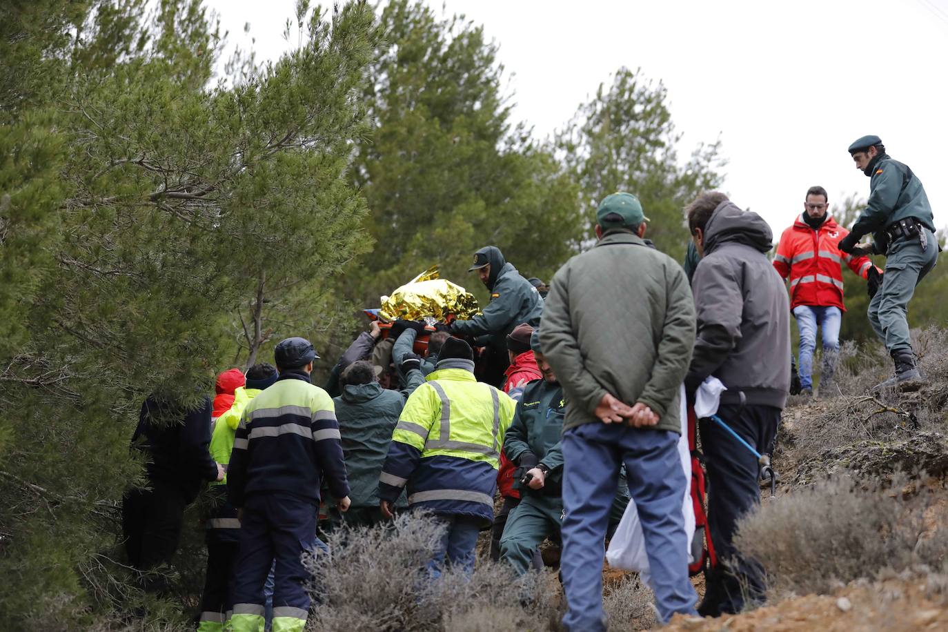 Ha sobrevivido 41 horas a la intemperie en un pinar a 3,8 kilómetros de su casa. 