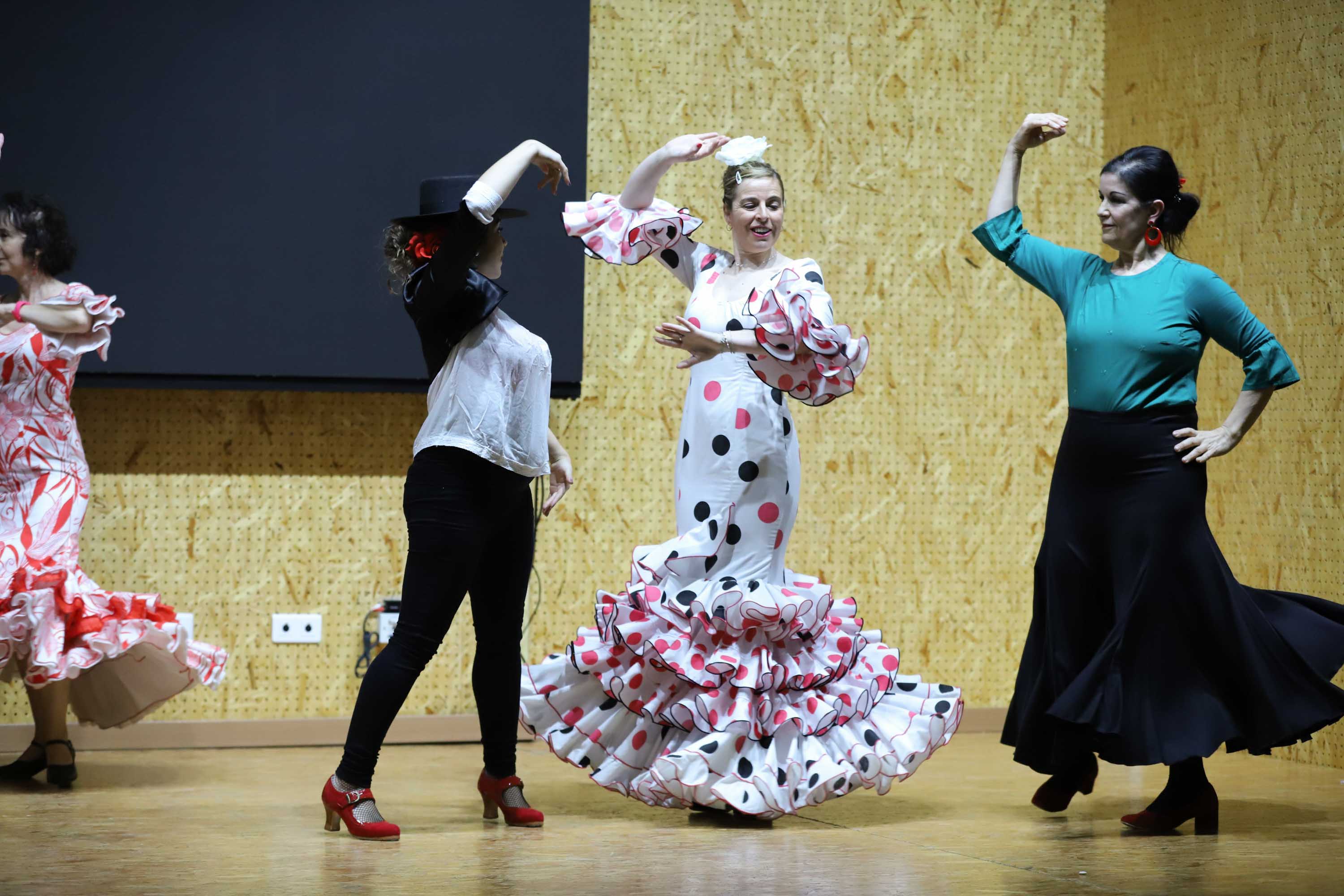 El centro municipal integrado Julián Sánchez El Charro acogió ayer un festival solidario, cuyo propósito fue la recaudación de donativos a favor de la Asociación de Familiares de Enfermos de Alzheimer. El festival incluyó las actuaciones de Aurora de Luna-Copla, Folclore Charro, la Escuela de Baile Anael y la Tuna de Medicina. 