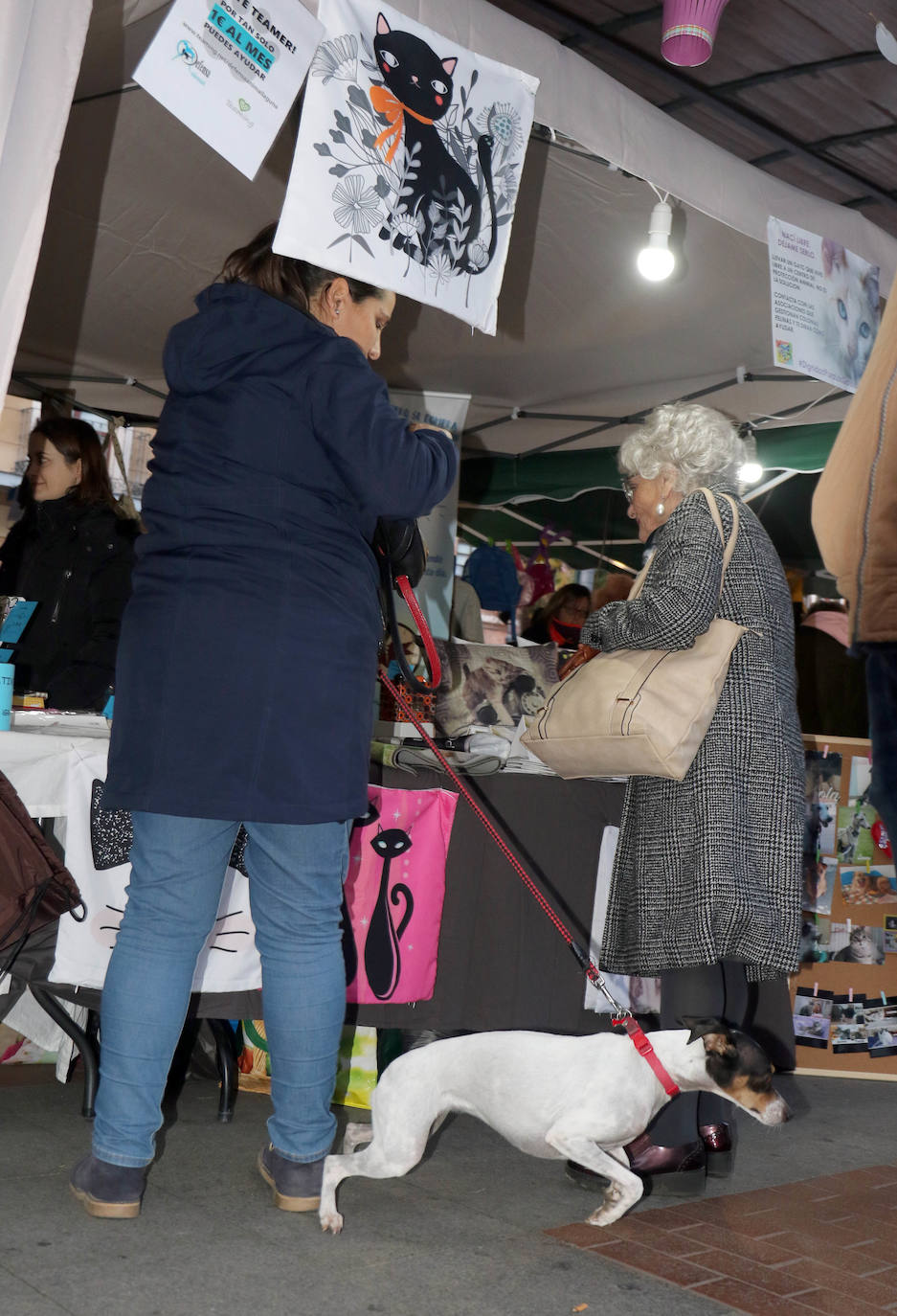 La primera edición de Animalid ha congregado este domingo en Plaza de España de Valladolid a una veintena de asociaciones protectoras, que han dado a conocer la labor que realizan con los animales abandonados y han acercado a la ciudad su «propia realidad» sobre esta forma de maltrato.
