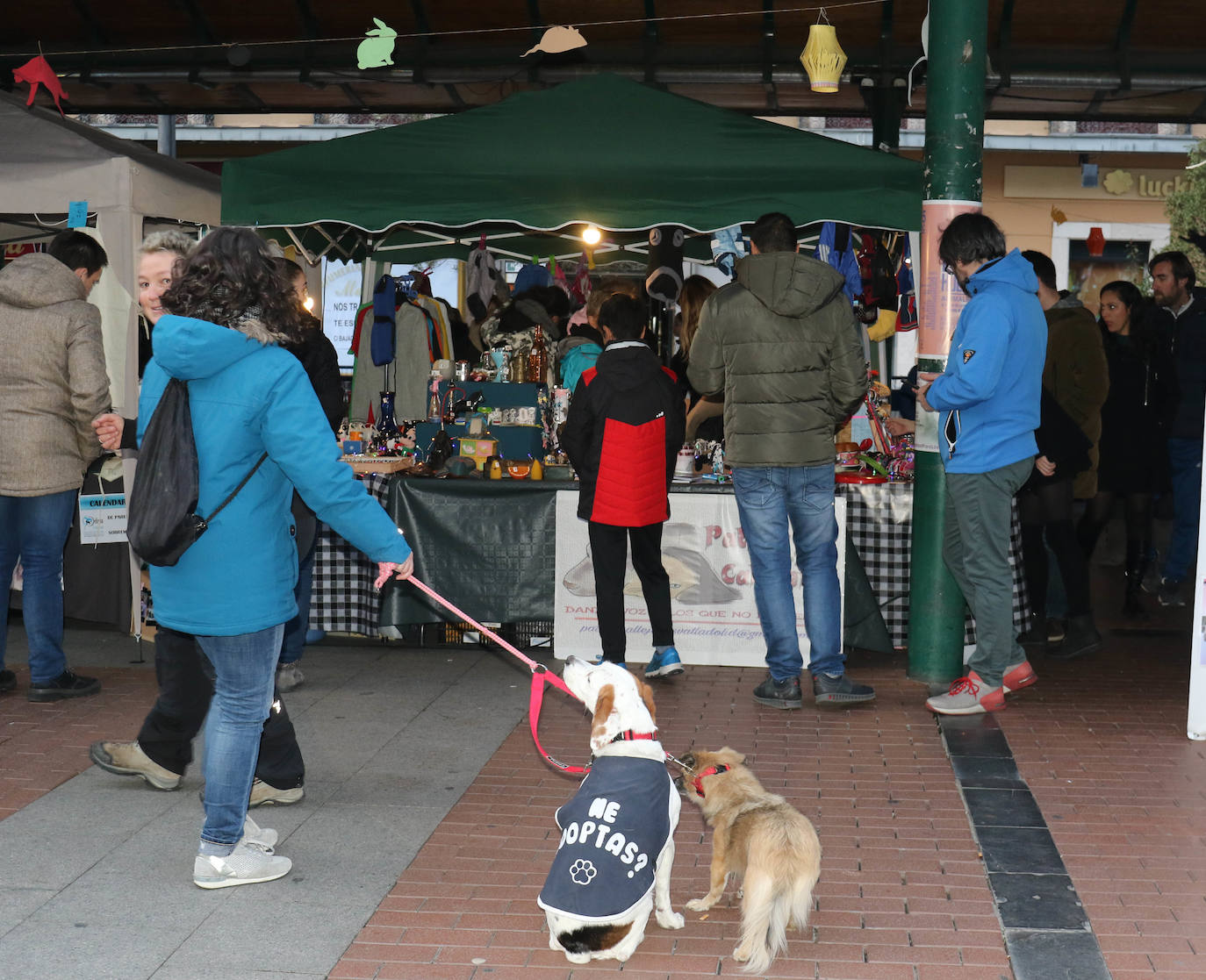 La primera edición de Animalid ha congregado este domingo en Plaza de España de Valladolid a una veintena de asociaciones protectoras, que han dado a conocer la labor que realizan con los animales abandonados y han acercado a la ciudad su «propia realidad» sobre esta forma de maltrato.