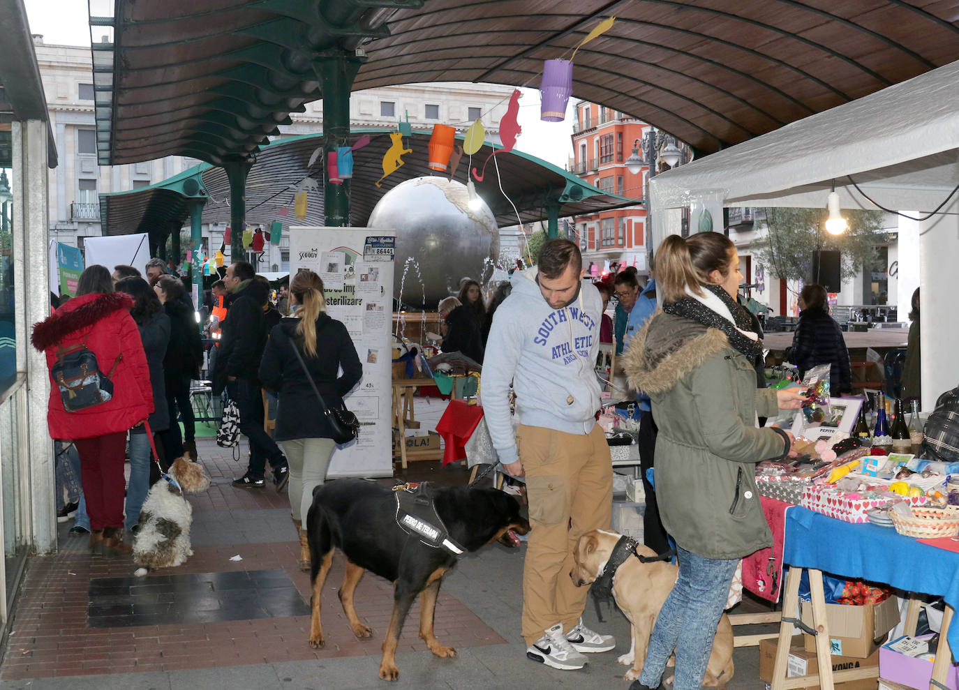 La primera edición de Animalid ha congregado este domingo en Plaza de España de Valladolid a una veintena de asociaciones protectoras, que han dado a conocer la labor que realizan con los animales abandonados y han acercado a la ciudad su «propia realidad» sobre esta forma de maltrato.