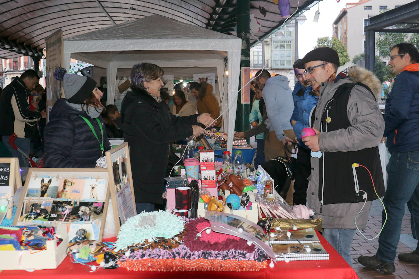 La primera edición de Animalid ha congregado este domingo en Plaza de España de Valladolid a una veintena de asociaciones protectoras, que han dado a conocer la labor que realizan con los animales abandonados y han acercado a la ciudad su «propia realidad» sobre esta forma de maltrato.