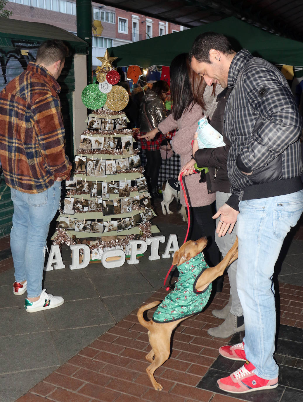 La primera edición de Animalid ha congregado este domingo en Plaza de España de Valladolid a una veintena de asociaciones protectoras, que han dado a conocer la labor que realizan con los animales abandonados y han acercado a la ciudad su «propia realidad» sobre esta forma de maltrato.