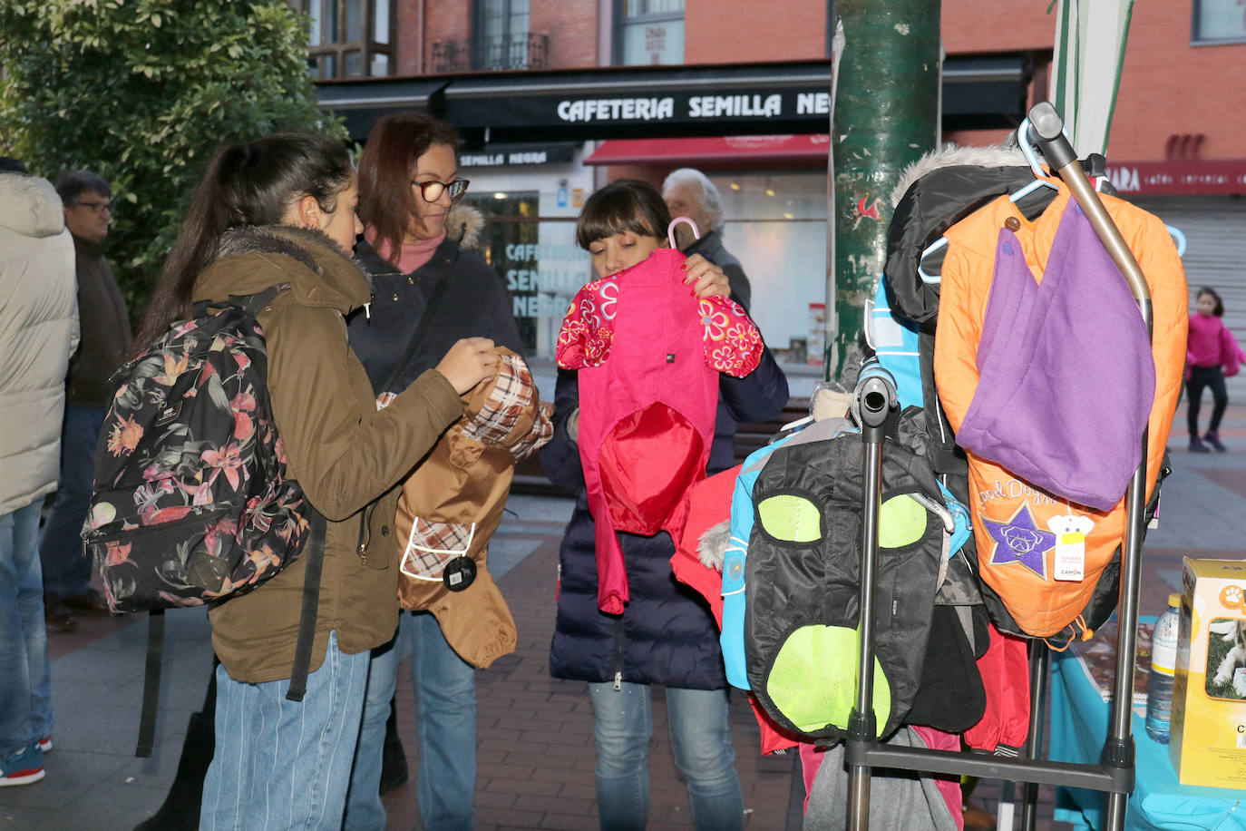 La primera edición de Animalid ha congregado este domingo en Plaza de España de Valladolid a una veintena de asociaciones protectoras, que han dado a conocer la labor que realizan con los animales abandonados y han acercado a la ciudad su «propia realidad» sobre esta forma de maltrato.