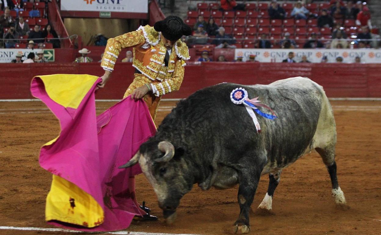 El torero Miguel Ángel Perera hace unos días en la plaza de toros México.