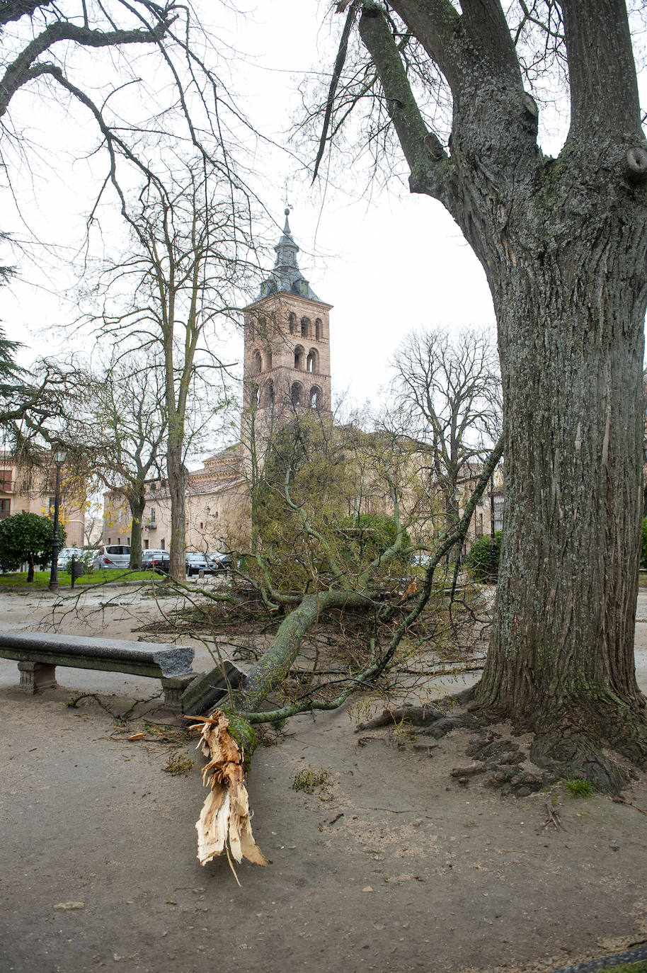 Efectos del vendaval en la ciudad. 