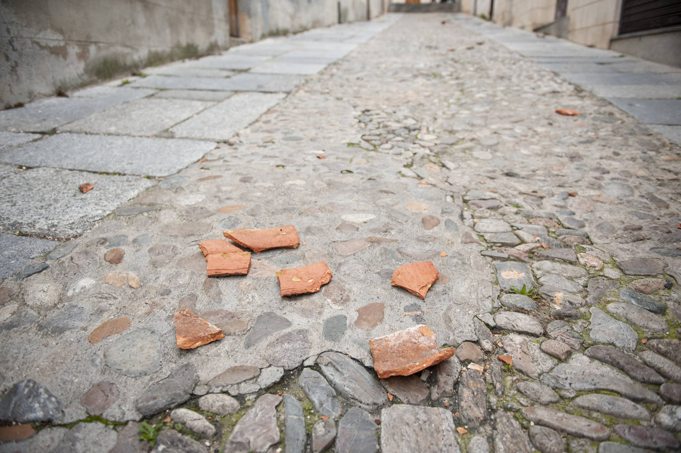 Efectos del vendaval en la ciudad. 