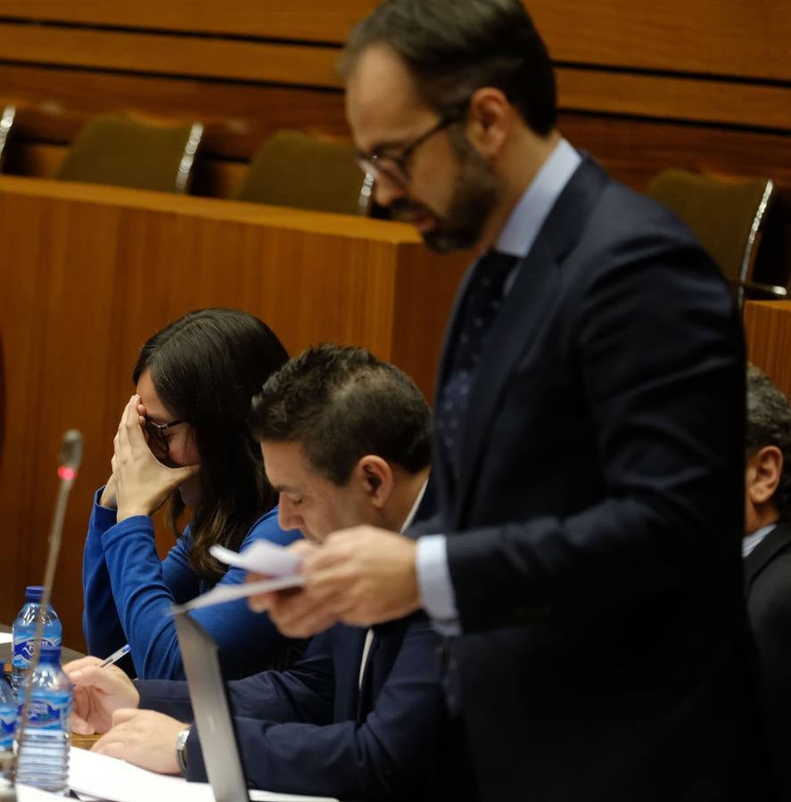 El presidente de la Junta, Alfonso Fernández Mañueco, propuso un decálogo para que Castilla y León abandere la lucha contra el cambio climático en España