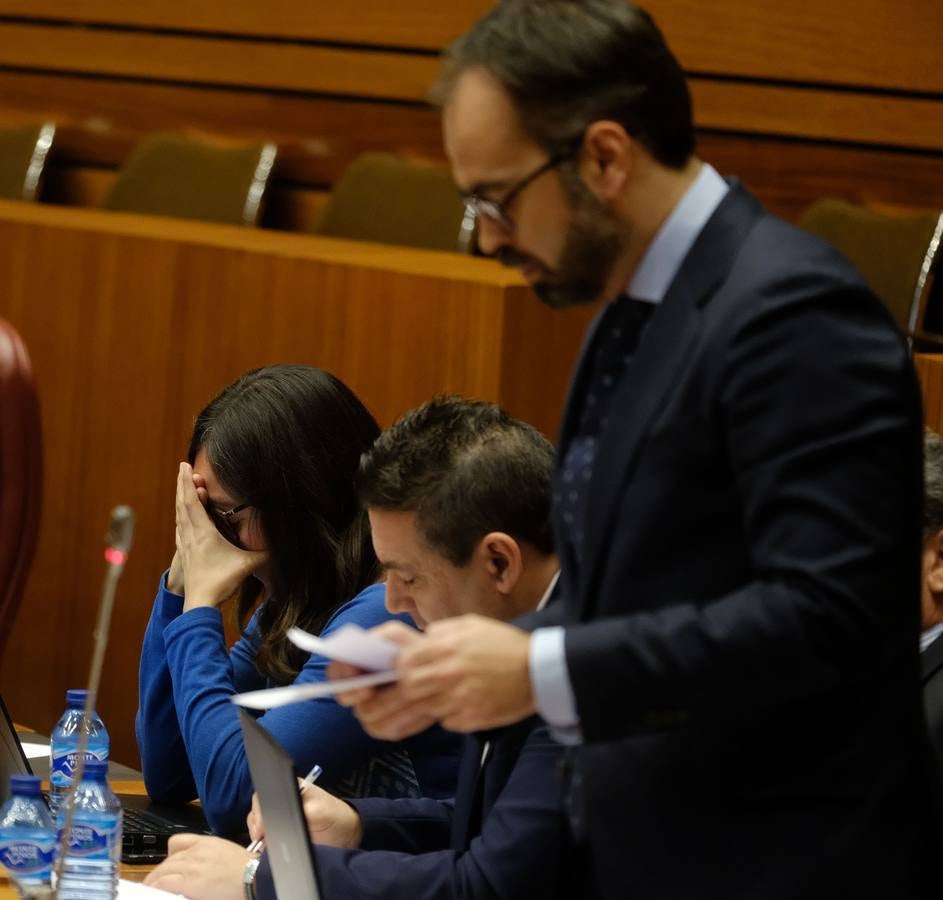 El presidente de la Junta, Alfonso Fernández Mañueco, propuso un decálogo para que Castilla y León abandere la lucha contra el cambio climático en España