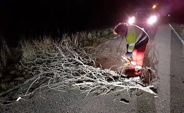 Un operario de la Diputación retira una rama en una carretera de la red provincial. 