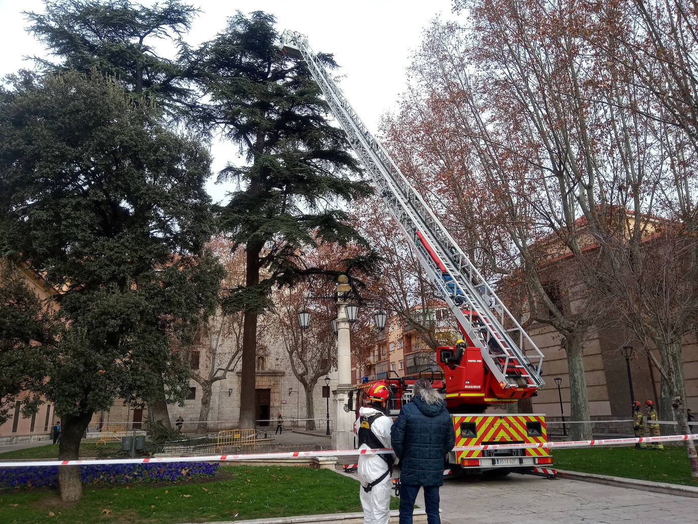 La intervención, en una zona céntrica de Valladolid, ha quitado los materiales acumulados por las aves ante el peligro de desplome, con pesos de alrededor de 500 y 1.000 kg